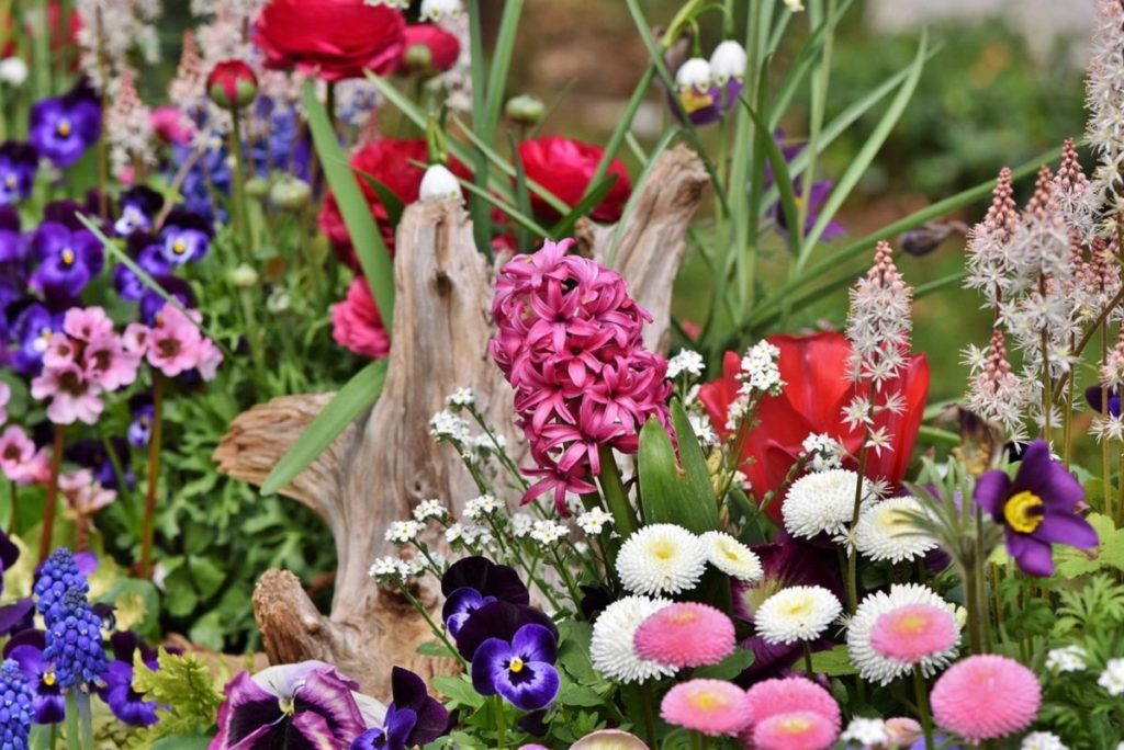 Spring flowers outside to improve your home's curb appeal. 