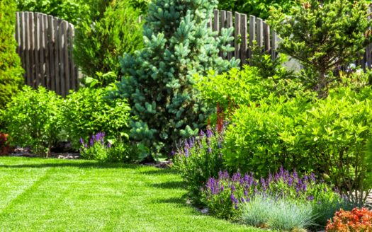 Backyard tips to improve home value.