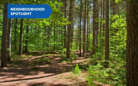 Neighbourhood Spotlight Merivale Gardens